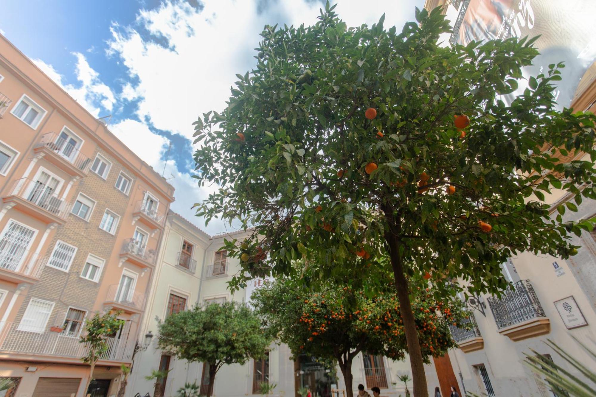 Vlc - Tranquilo Apartamento En Plaza Cisneros Valence Extérieur photo