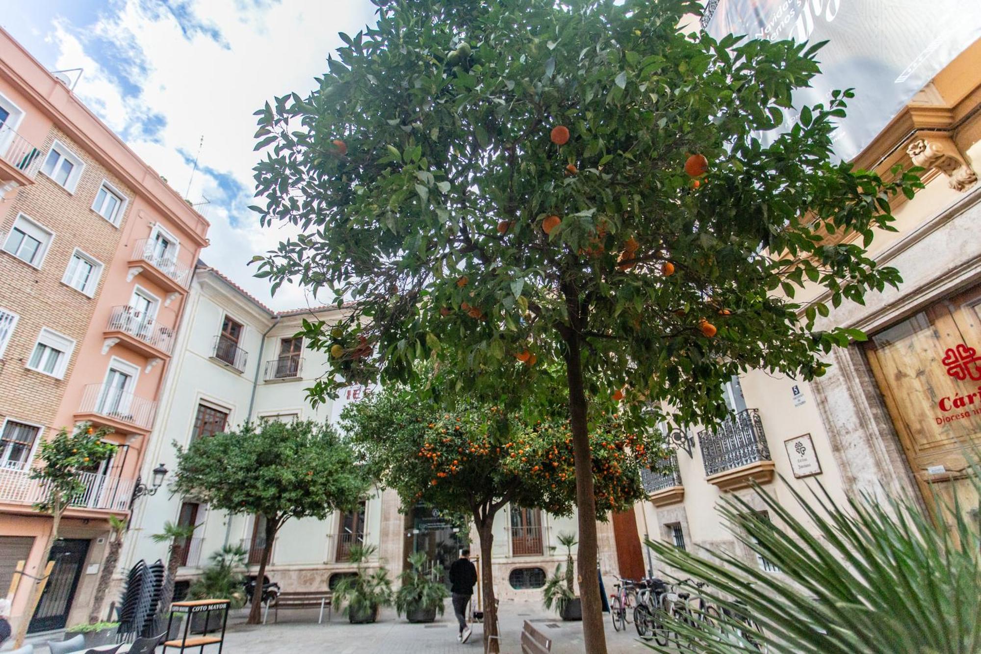 Vlc - Tranquilo Apartamento En Plaza Cisneros Valence Extérieur photo